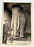 FRITZ EL ELEFANTE GIGANTE.jpg